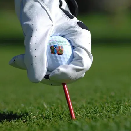 Dermuth Hotels - Hotel Dermuth Poertschach Portschach am Woerthersee