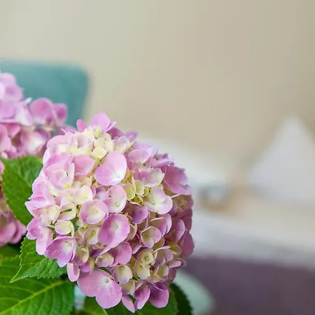 Dermuth Hotels - Hotel Dermuth Poertschach 4*