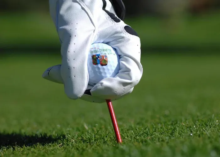 Dermuth Hotels - Hotel Dermuth Poertschach Portschach am Woerthersee